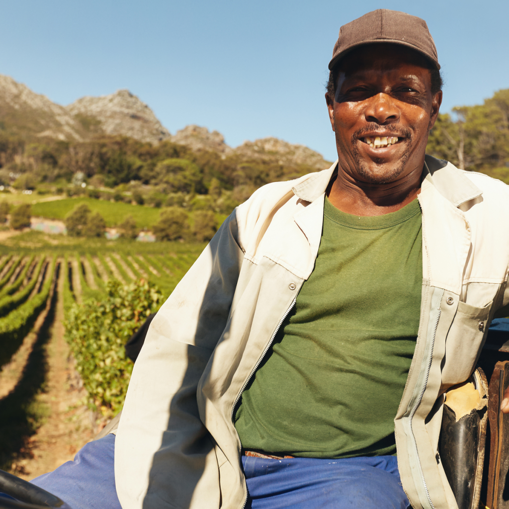 647888ca92d03e3fca3f2166 Icon