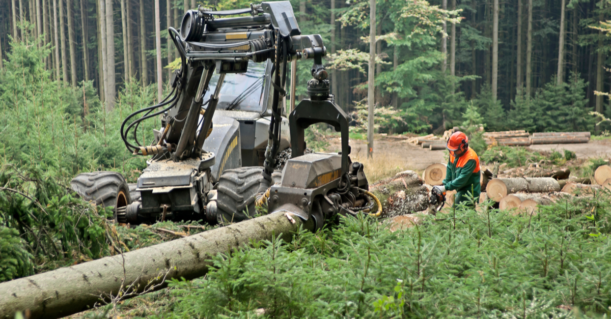 Injury Prevention Within the Logging Industry 6 logging machine in use
