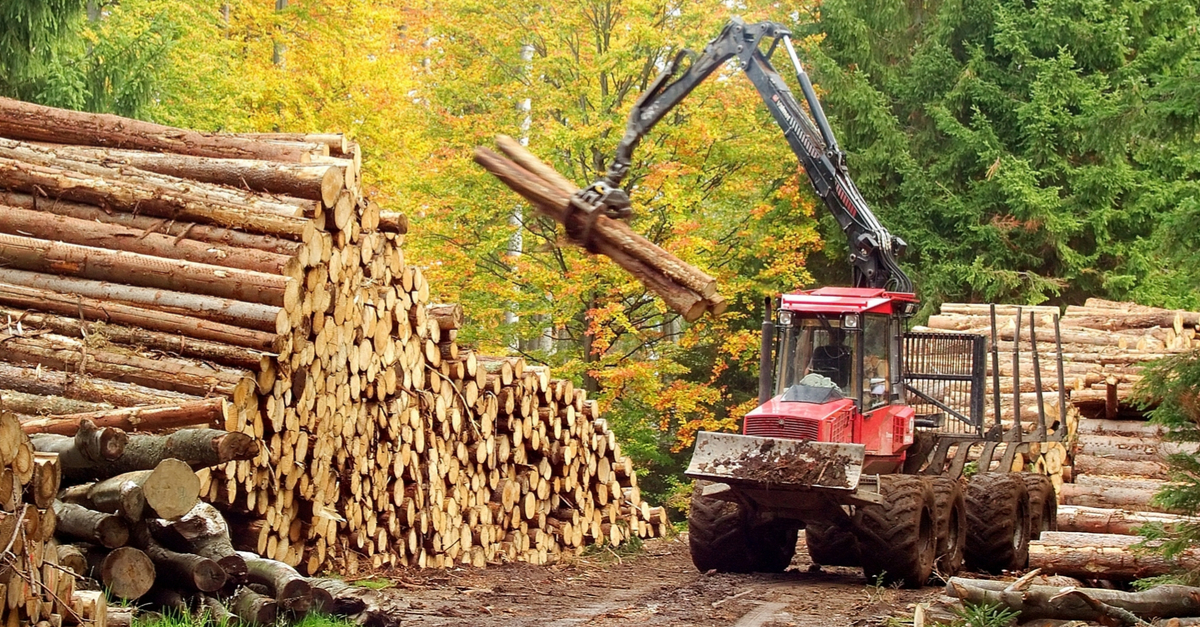 Injury Prevention Within the Logging Industry 7 logging machine in use