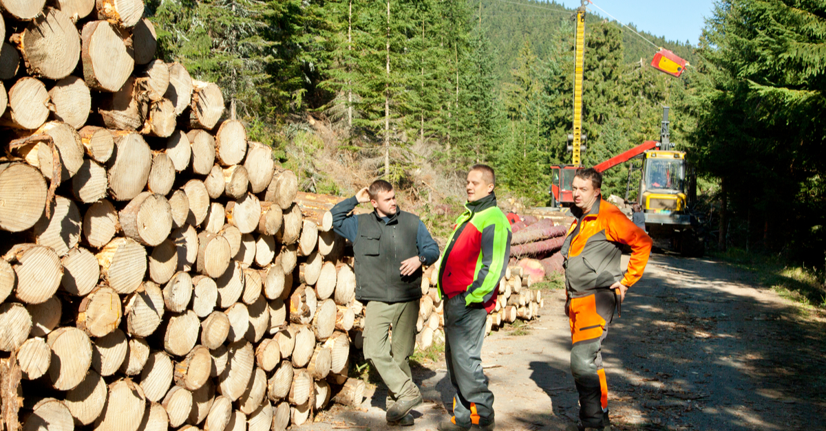 Injury Prevention Within the Logging Industry 5 three workers standing in front of logs