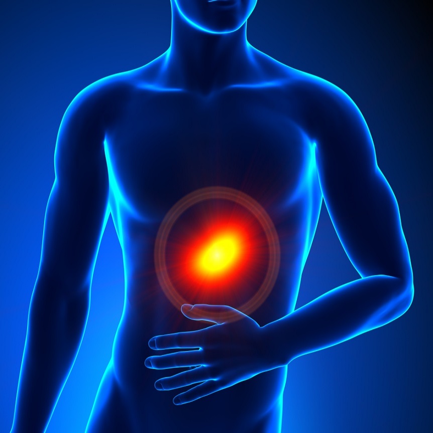 abdomen skeleton highlight 