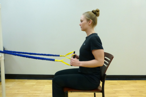 seated row exercise