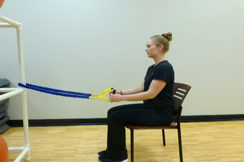 seated row exercise