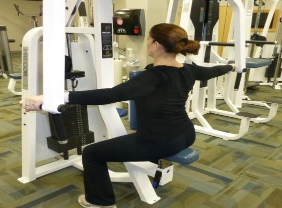 Shoulder 16 posterior delt fly exercise