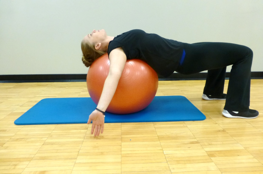 physioball stretch