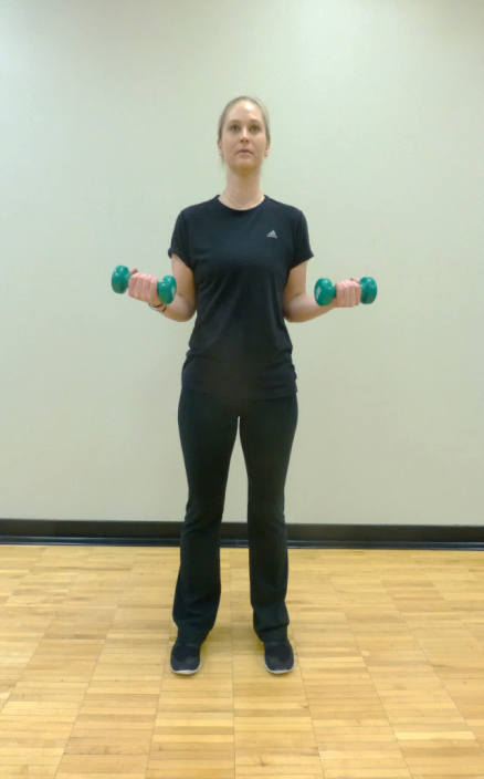 bicep curl exercise