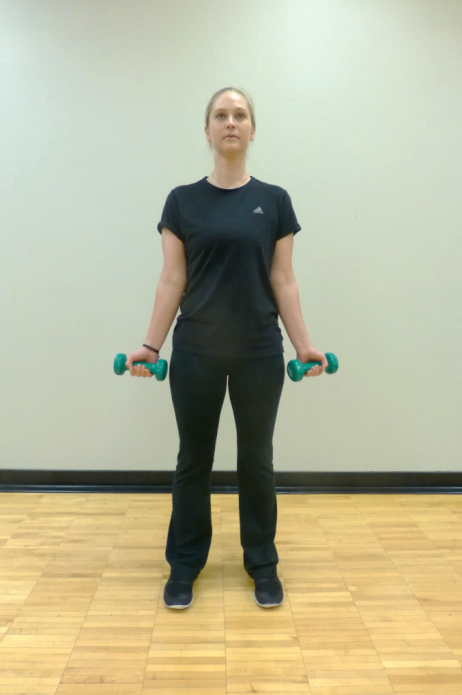 bicep curl exercise