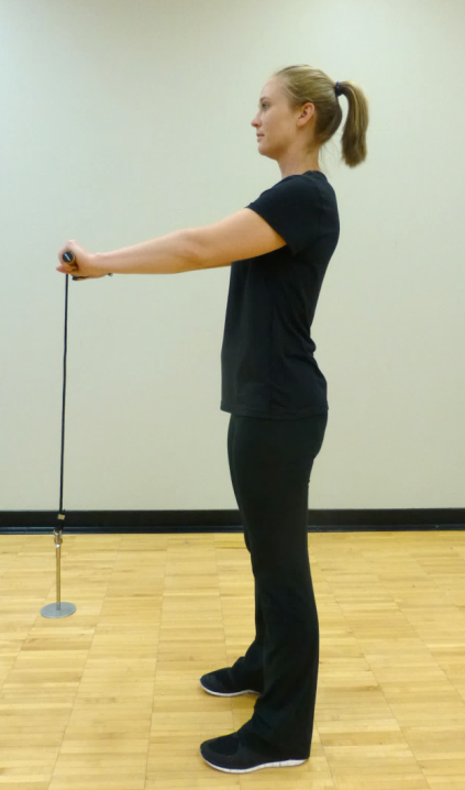 forarm roll exercise