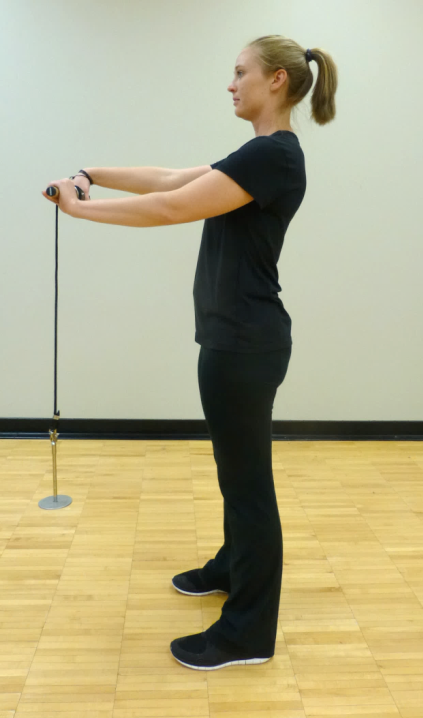 forarm roll exercise