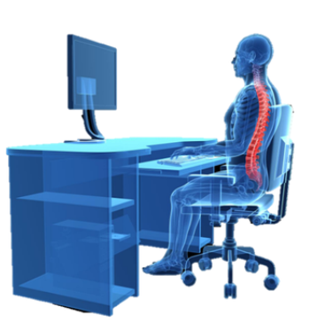 Office Ergonomic Assessment 1 skeleton sitting in chair proper back alignment